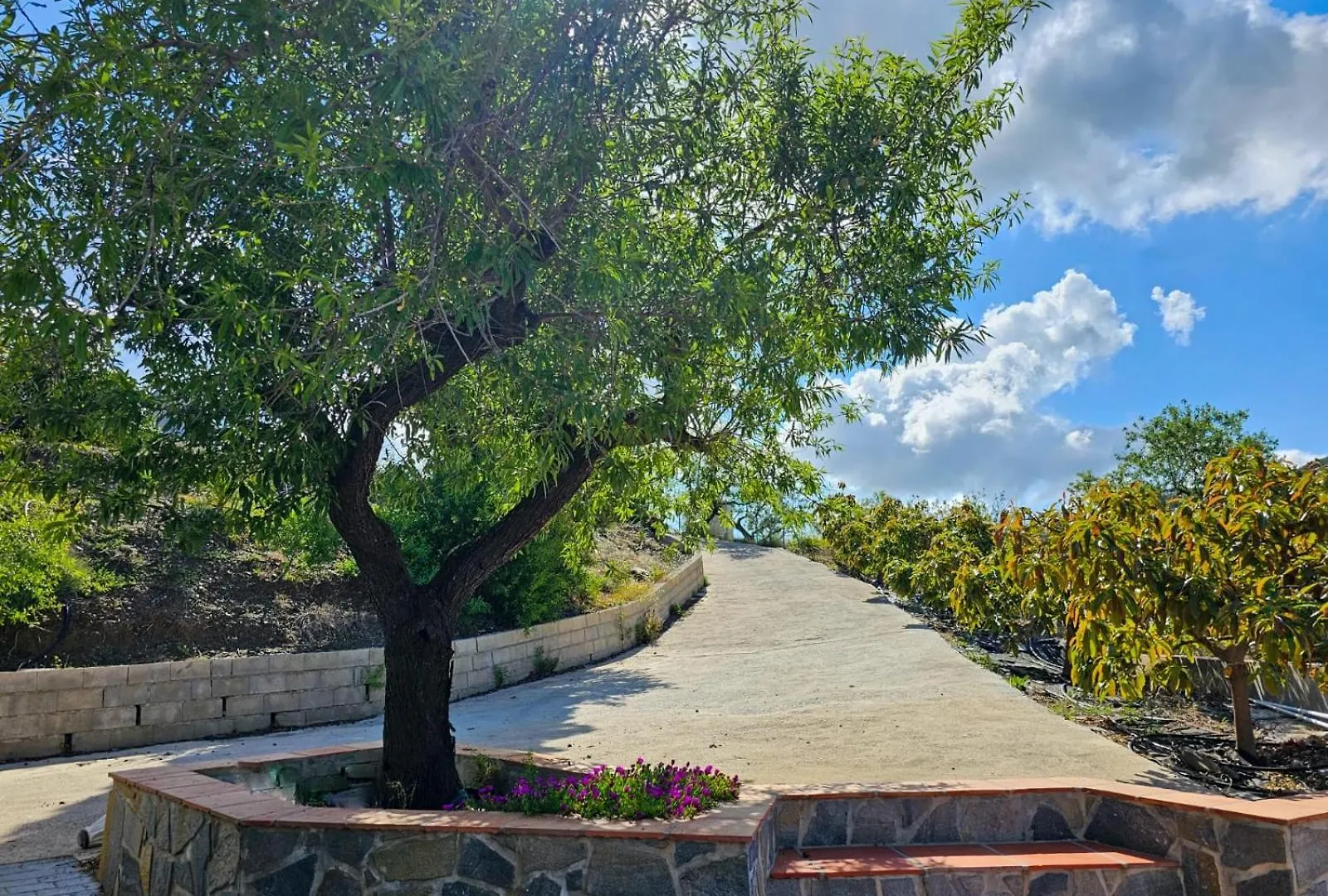 Cortijo Airen Villa Cómpeta Tatil Evi